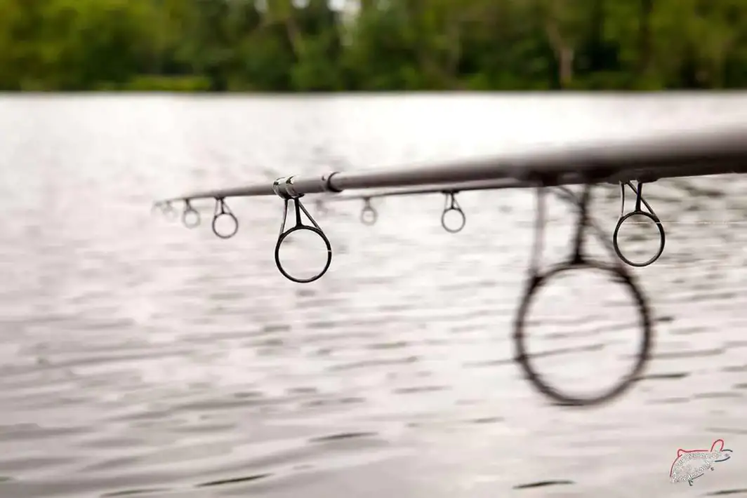 ¿Qué cañas de carpfishing elegir? ¿Cuál necesito?