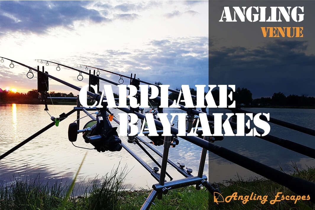 Vídeo de impresión Bay Lakes