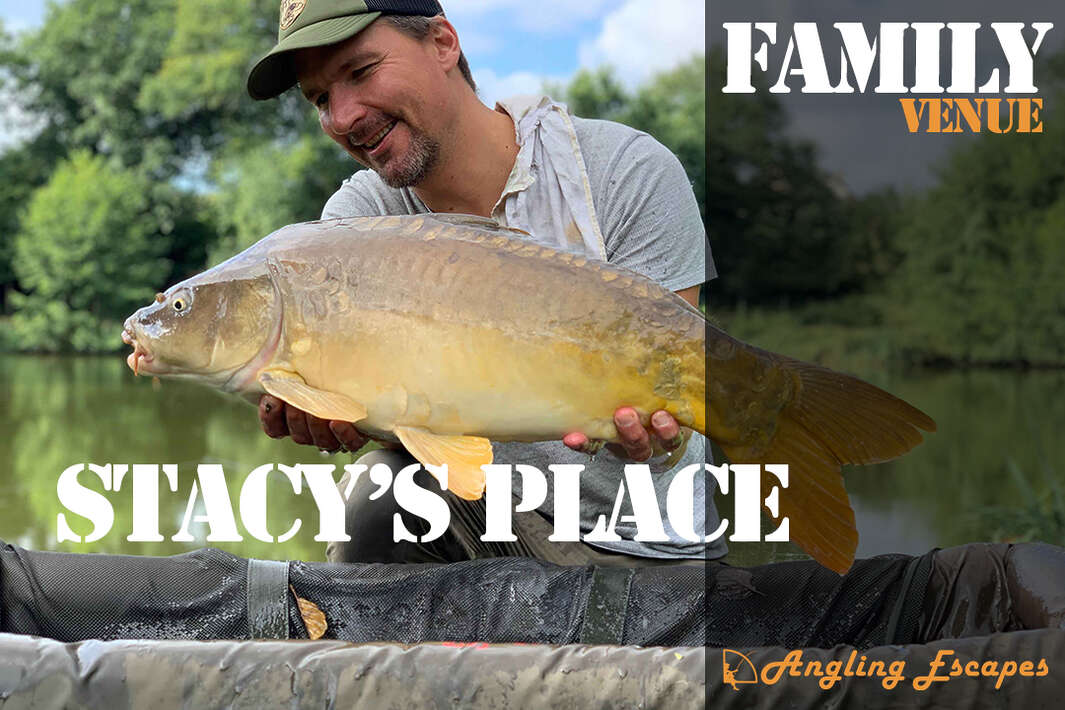 Vídeo de impresión Stacy’s Place