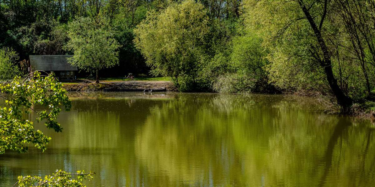 Carplake Zabar Bosnie Sfeerfoto 1 Carplake Zabar 1