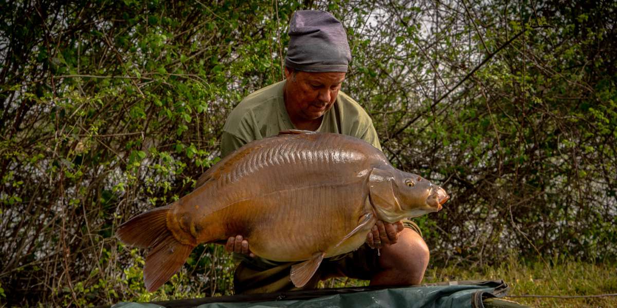 Edwin Zabar Spiegel Karper 2 Edwin Karper 2