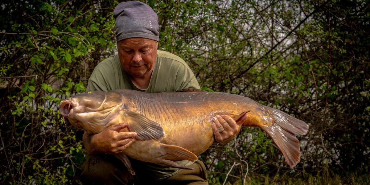 Edwin Zabar Spiegel Karper 3 Spiegel 3 1