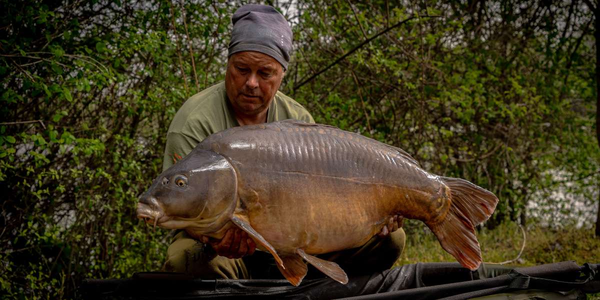 Edwin Zabar Spiegel Karper 3 Edwin Spiegel 3