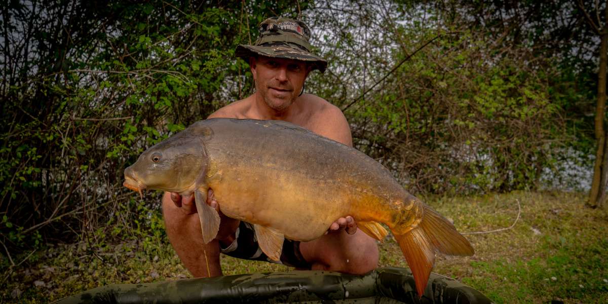 Peter Zabar Spiegel Karper 1 Peter Karper 1