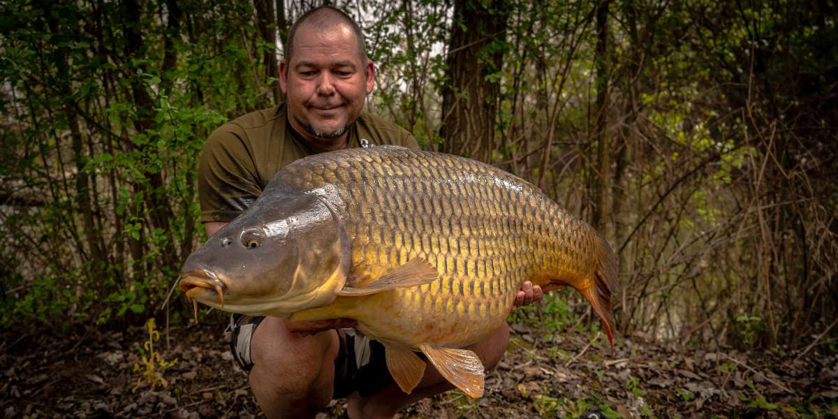 Sebastiaan Zabar Schub Karper 3 Sebastiaan Schub Karper