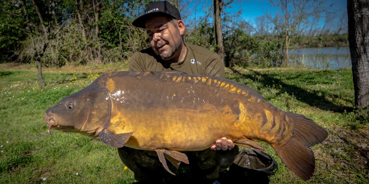 Sebastiaan Zabar Spiegel Karper 1 Sebastiaan Zabar Spiegel