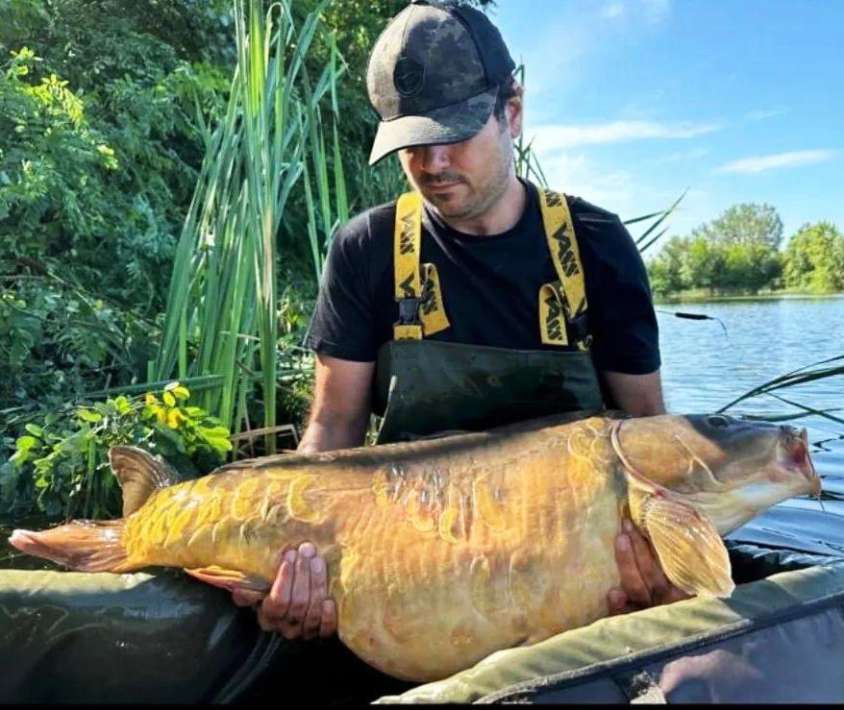 Bosnie Karper Pelagicevo 12 Bosnie Karper 12