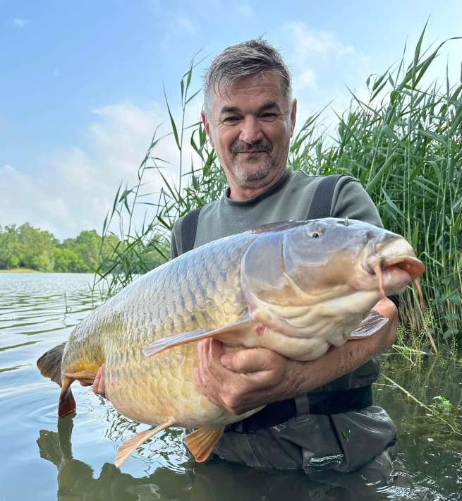 Pelagicevo Schub Karper 5 Pelagicevo Karper 5