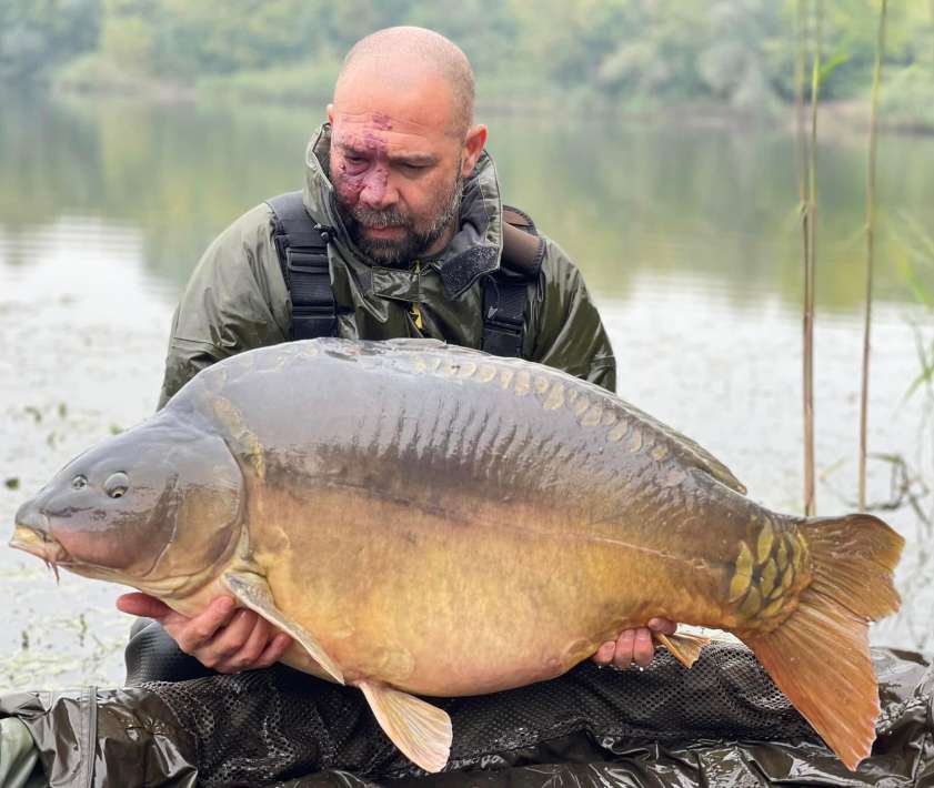 Pelagicevo Spiegel Karper 11 Pelagicevo Spiegel Karper