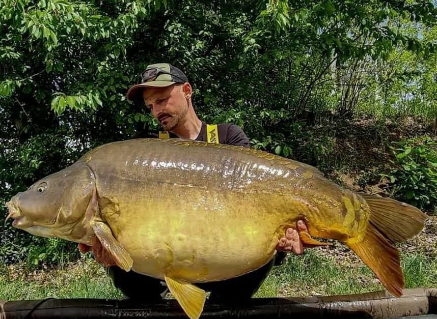 Pelagicevo Spiegel Karper 12 Pelagicevo Spiegel Karper