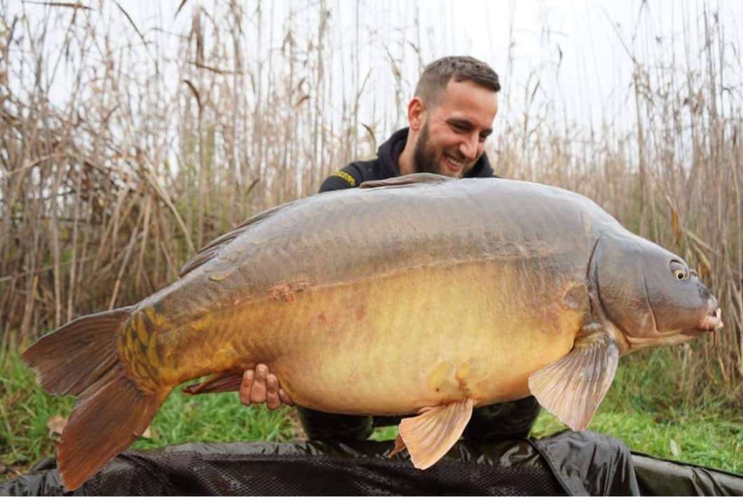 Pelagicevo Spiegel Karper 13 Pelagicevo Karper 13