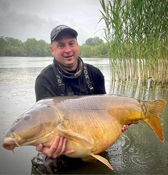 Pelagicevo Spiegel Karper 16 Spiegel Karper 16