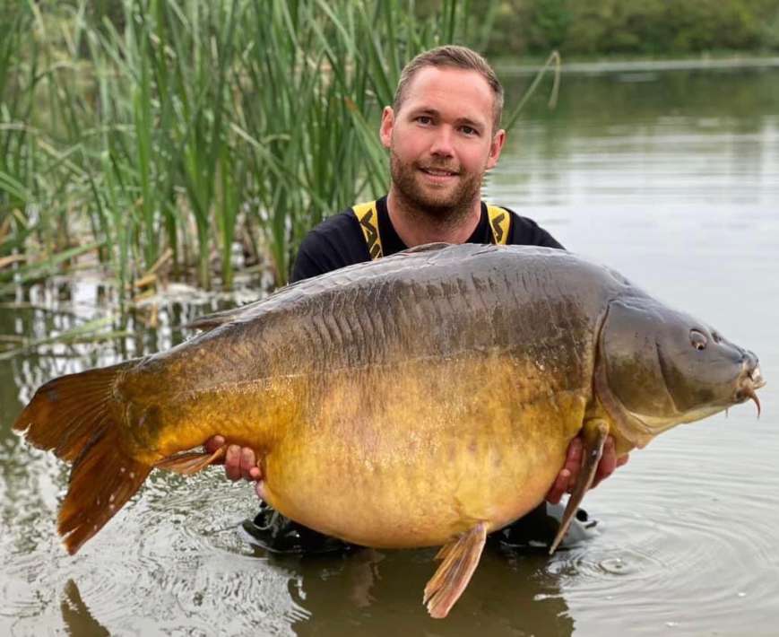 Pelagicevo Spiegel Karper 17 Pelagicevo Spiegel Karper