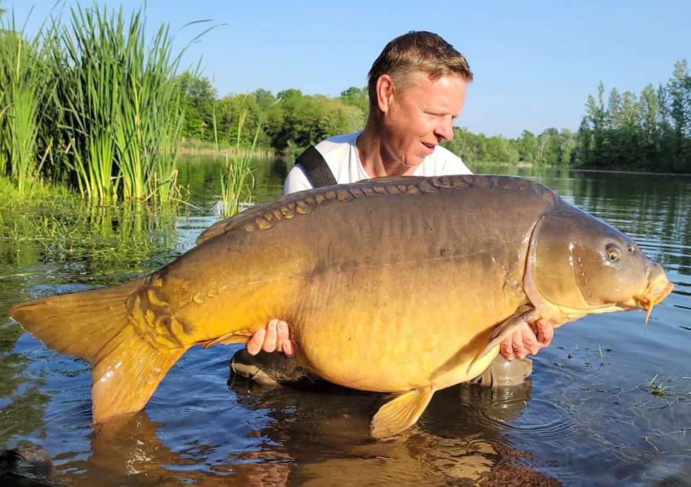 Pelagicevo Spiegel Karper 18 Pelagicevo Spiegel Karper