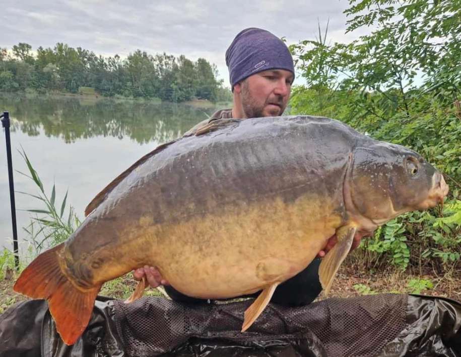 Pelagicevo Spiegel Karper 20 Pelagicevo Spiegel 20