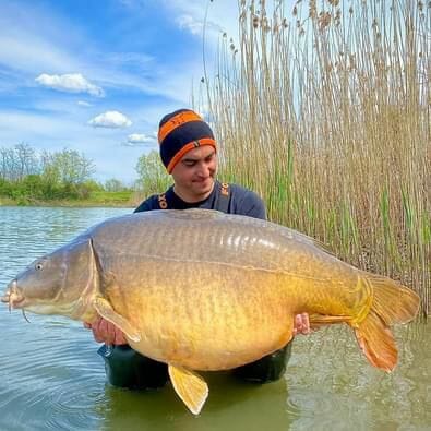 Pelagicevo Spiegel Karper 4 Pelagicevo Karper 4