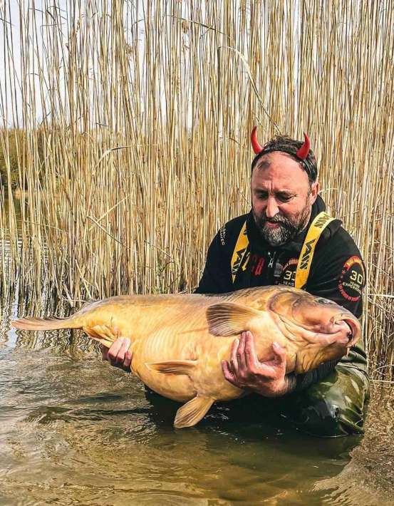 Pelagicevo Spiegel Karper 5 Spiegel Karper 5