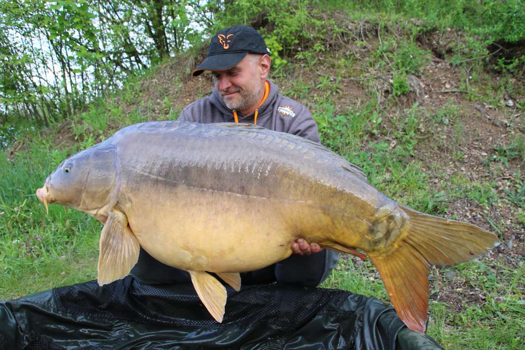 Pelagicevo Spiegel Karper 6 Spiegel Karper 6