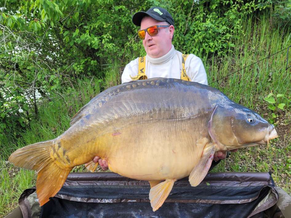 Pelagicevo Spiegel Karper 7 Pelagicevo Karper 7