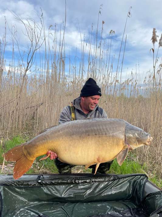 Pelagicevo Spiegel Karper 8 Spiegel Karper 8