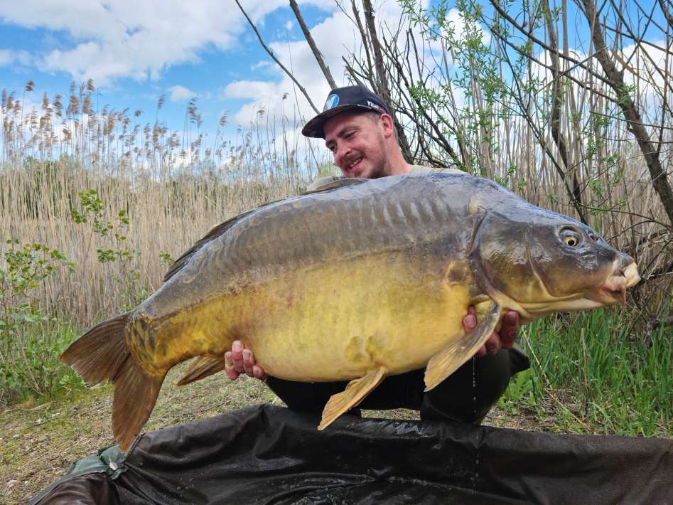 Pelagicevo Spiegel Karper 9 Pelagicevo Spiegel 9