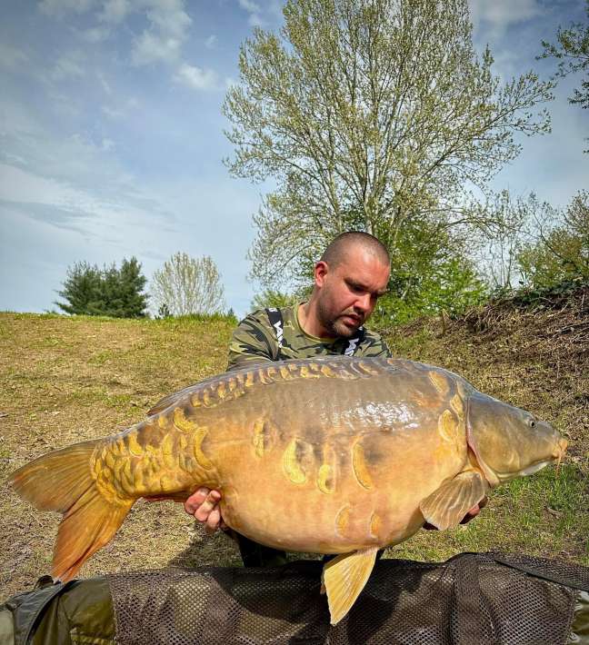 Pelagicevo Volschub Karper 1 Volschub Karper 1