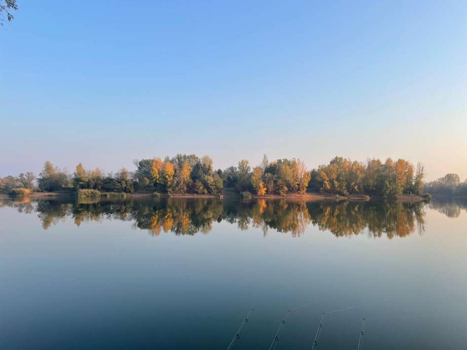 Whatsapp Image 2023 09 09 Image At 2