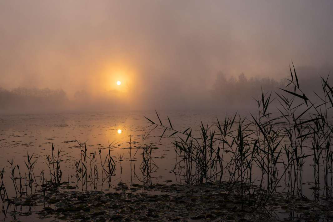 Whatsapp Image 2023 09 09 09 At 1