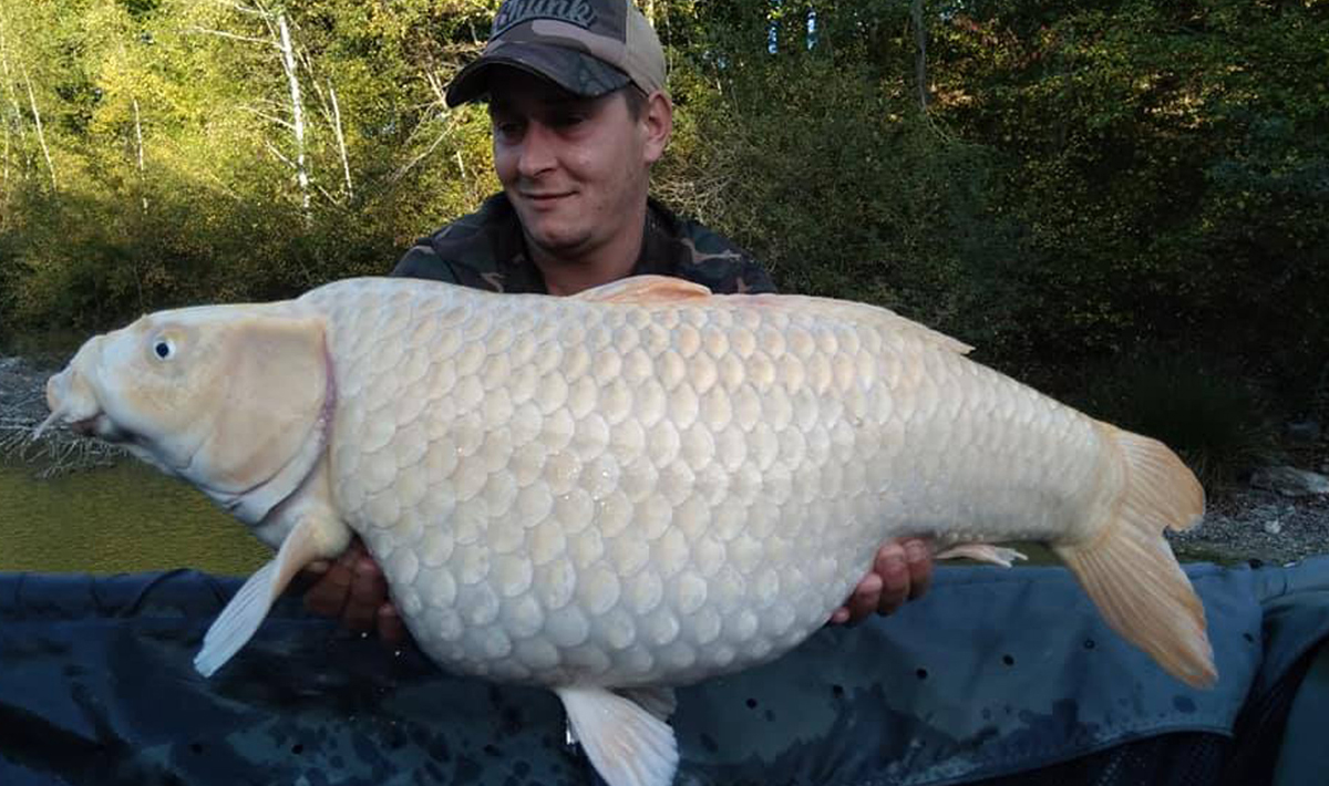 01 Aquadev Karpervisvakantie Frankrijk Karpervissen Karpervissen Accommodatie 2