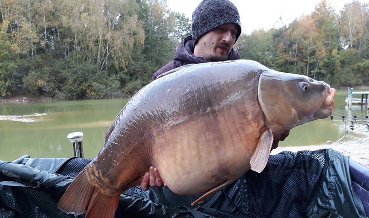 Aquadev Karpervisvakantie Frankrijk Karpervissen Accommodatie Aquadev Karpervisvakantie Frankrijk