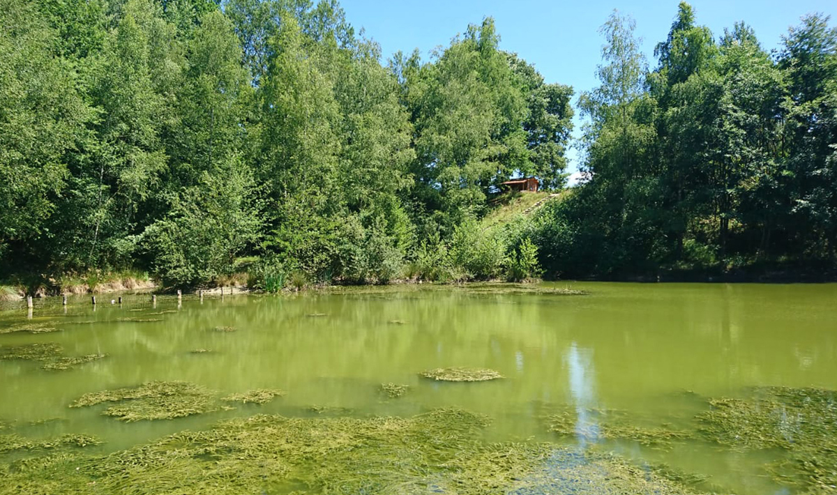 Aquadev Karpervisvakantie Frankrijk Karpervissen Accommodatie Frankrijk Accommodatie Saone