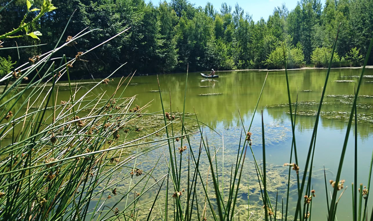 Aquadev Karpervisvakantie Frankrijk Karpervissen Accommodatie Karpervissen Accommodatie Loire