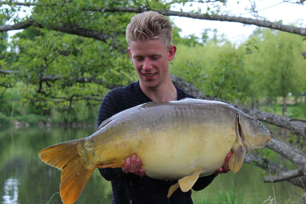 Bellevue Betaalwater Frankrijk Mayenne Luxe Bellevue Frankrijk Mayenne