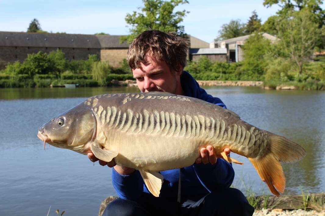 Bellevue Betaalwater Frankrijk Mayenne Luxe Frankrijk Luxe 13