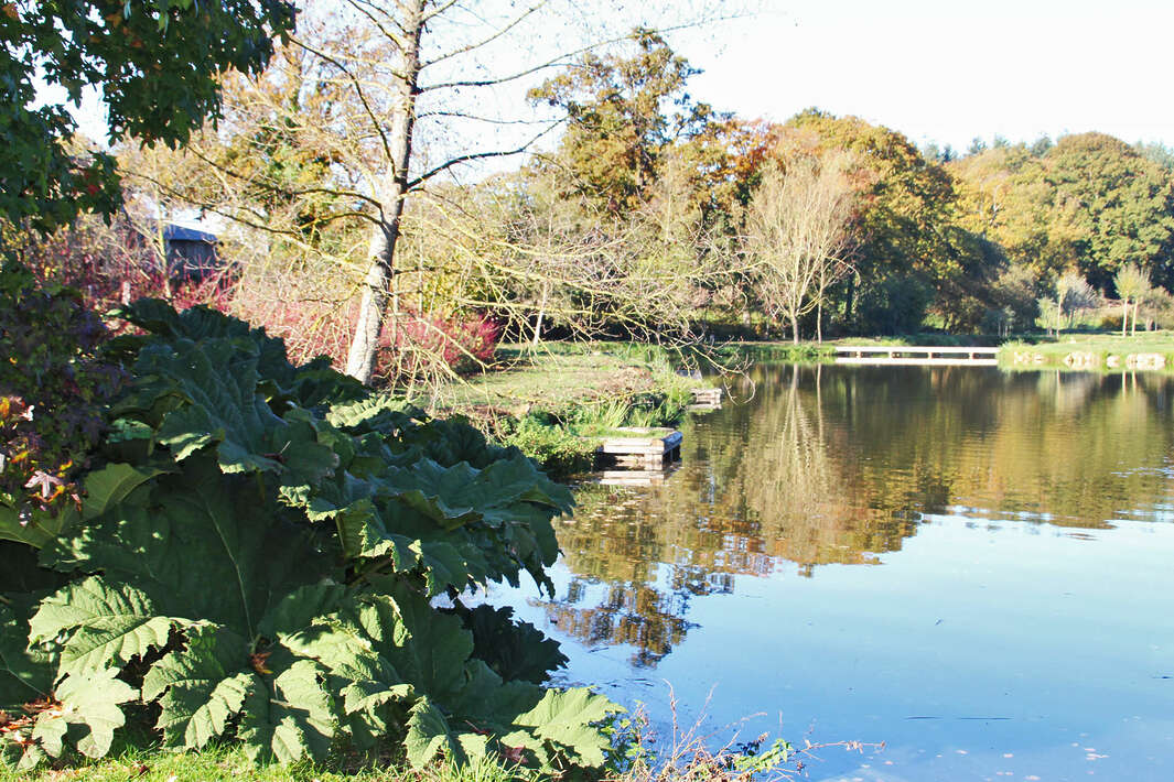 Bellevue Betaalwater Frankrijk Mayenne Luxe Betaalwater Luxe Karpervissen