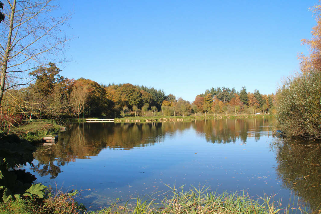 Bellevue Betaalwater Frankrijk Mayenne Luxe Mayenne Luxe Accommodatie