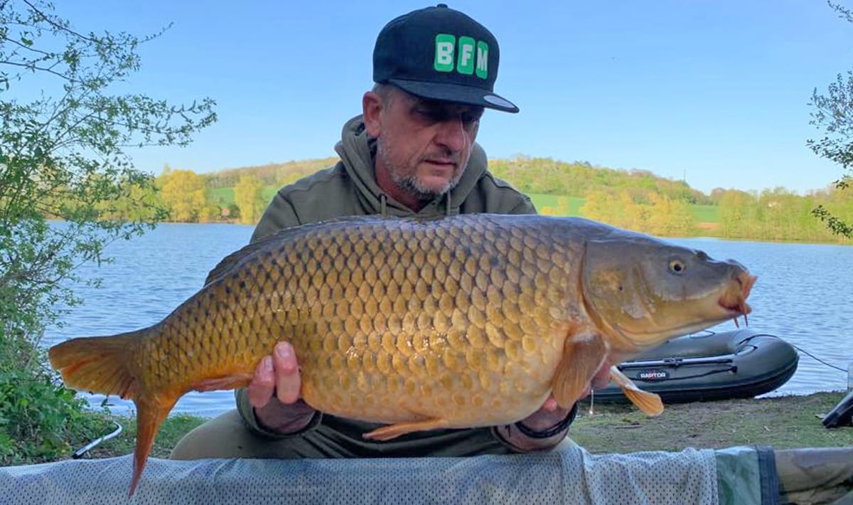 Carpista de Bazoches