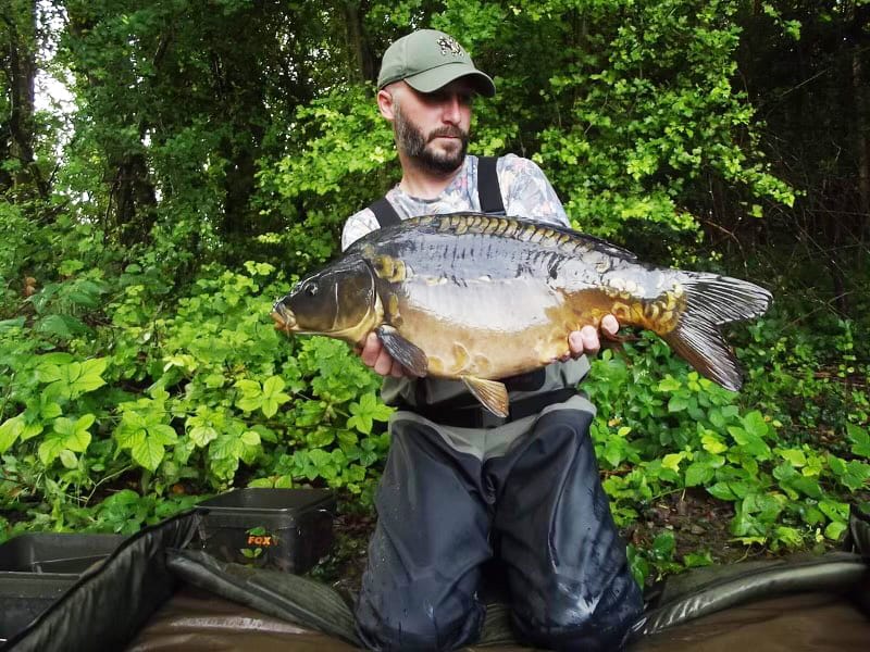 Chef De Ville Karper 1 Chef Ville Karper