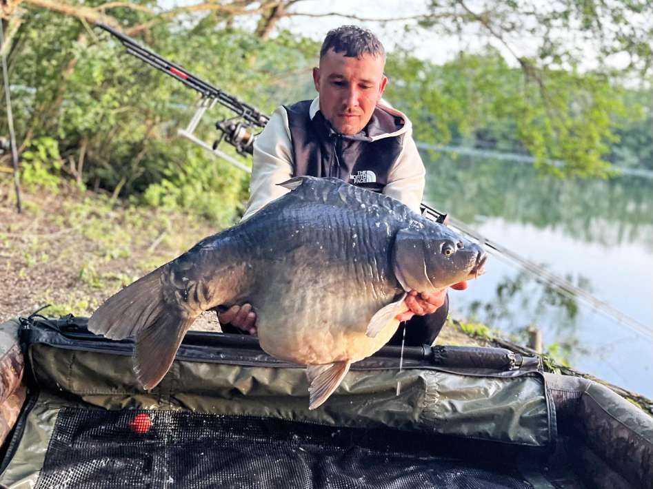 Chef De Ville Karper 2 Chef De Karper