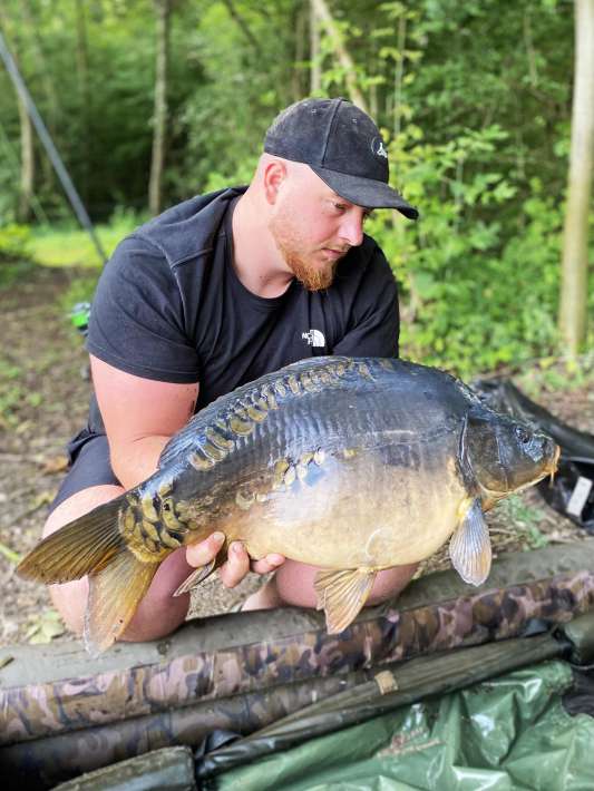 Chef De Ville Karper De Ville Karper