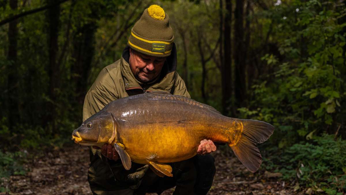 Chef De Ville Karper 1 De Ville 1