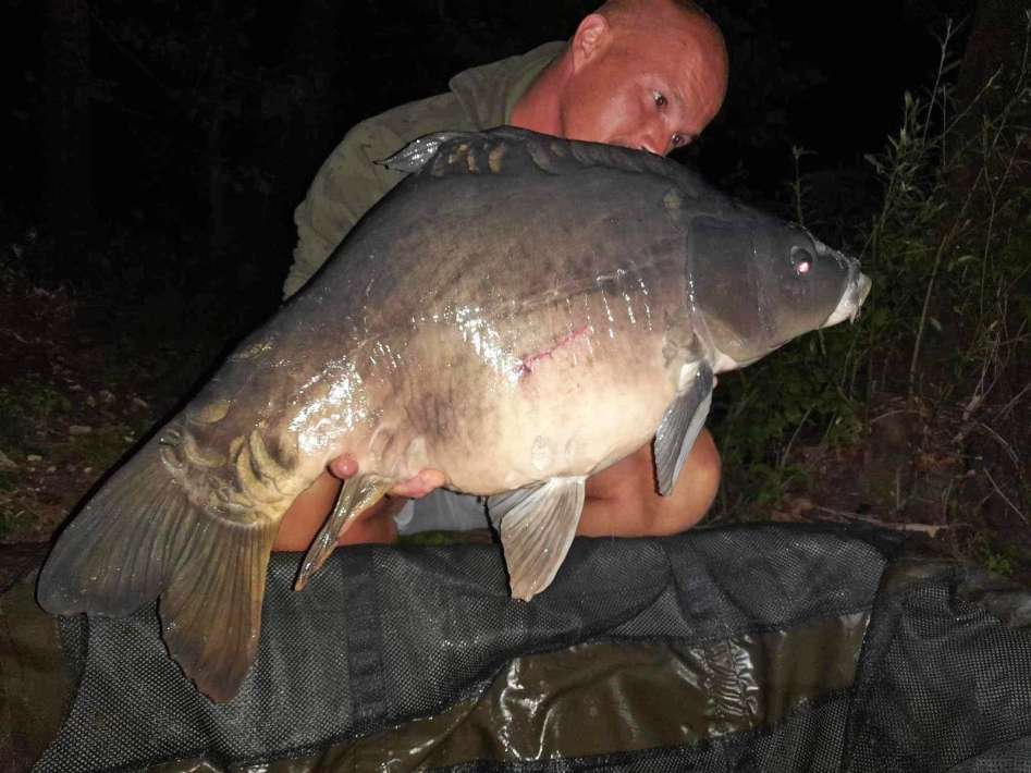 Chef De Ville Karper 7 De Ville 7