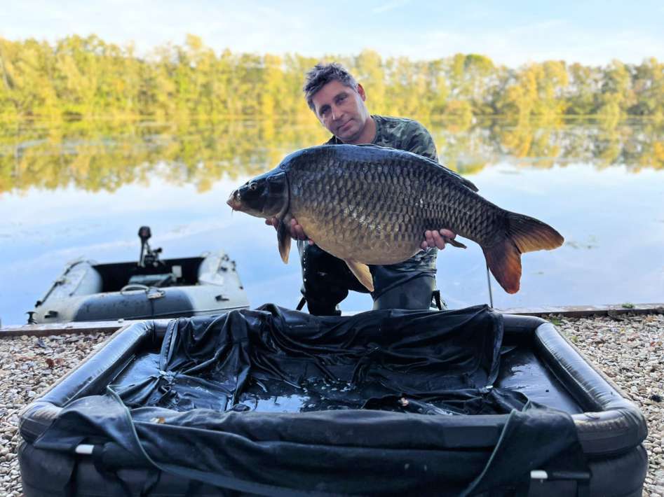 Chef De Ville Schubkarper 2 Chef De Schubkarper