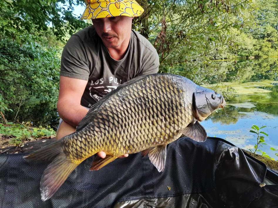 Chef De Ville Schubkarper 6 Chef De Ville