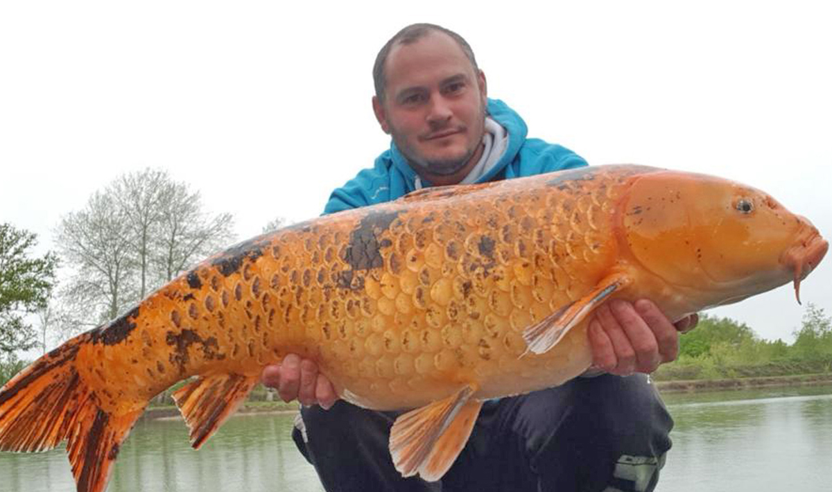 Visvakantie Chayenne Familie Visvakantie Betaalwater Chayenne Betaalwater Noord