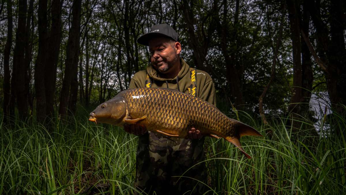 Common Carp Chateau Lake Poiteviniere Common Chateau 1