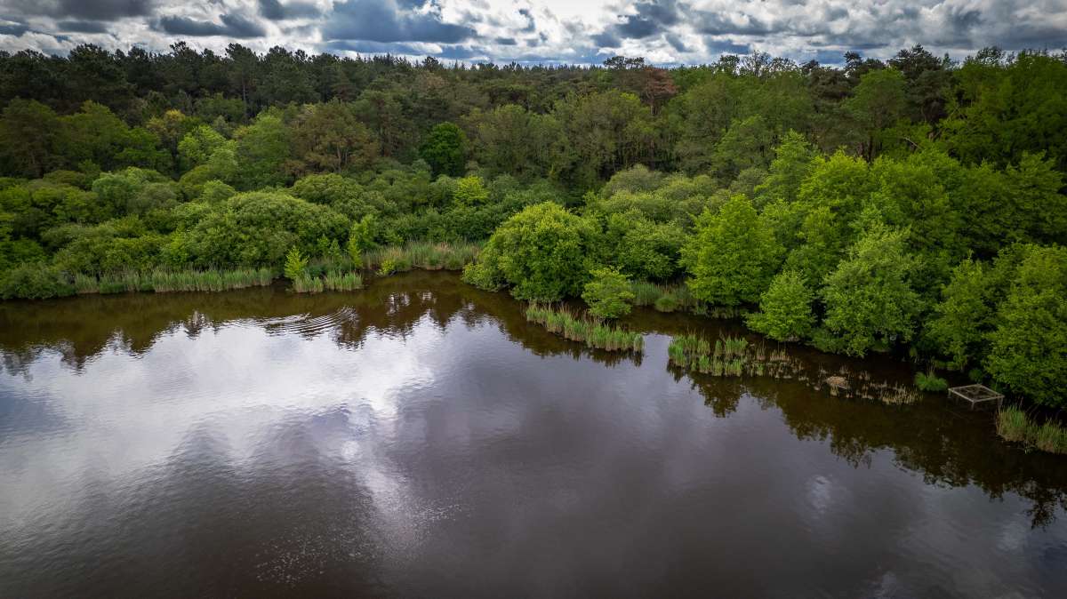 Drone Lakeview Chateau Lake Poiteviniere Drone Lakeview Chateau