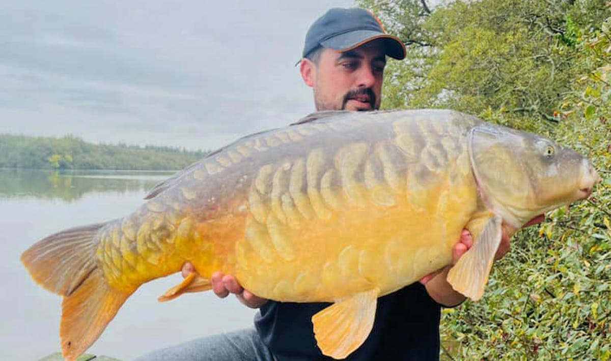 Etang De La Poiteviniere Full La Scale Carp