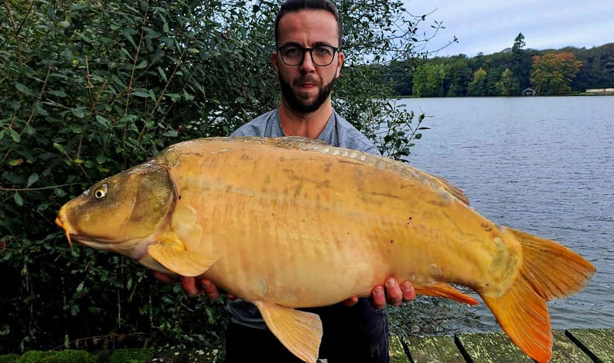 Etang De La Poiteviniere Koi Poiteviniere Koi Carp