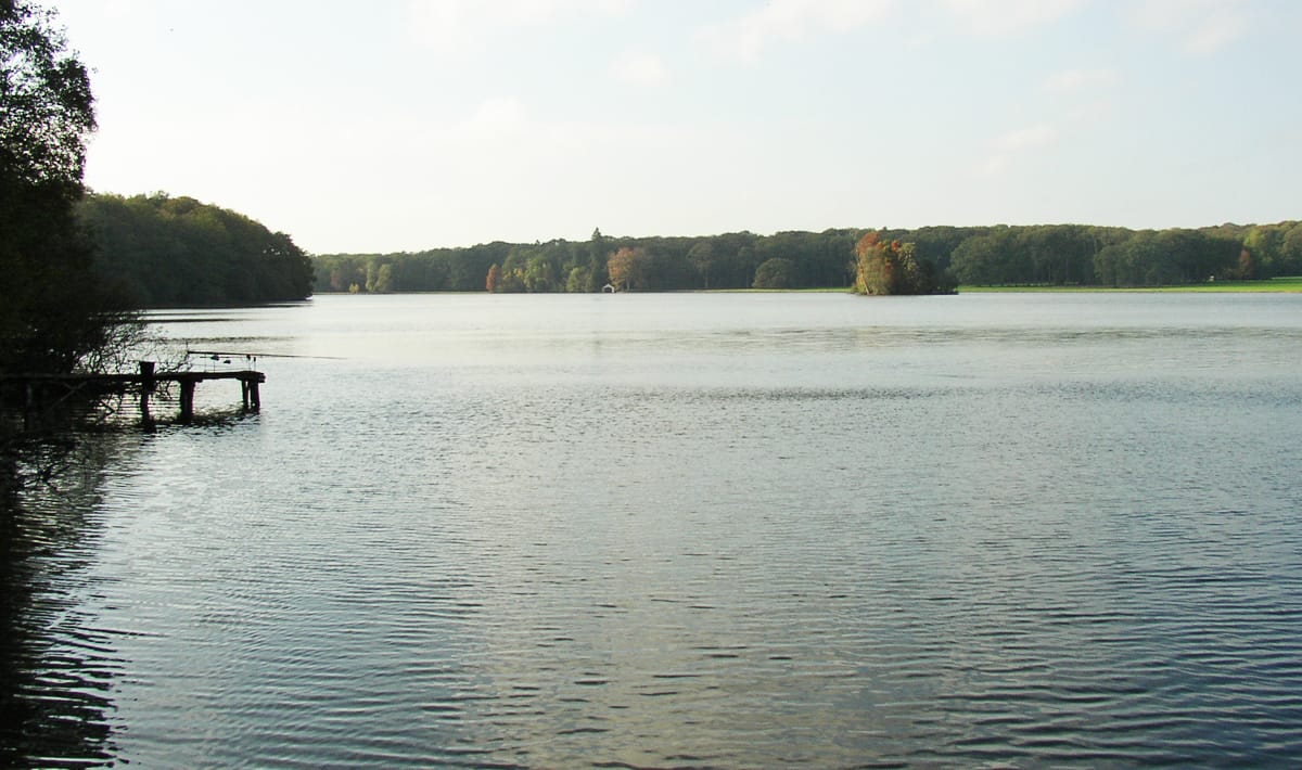 Etang De La Poiteviniere Lake De La Lake